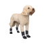 CPL Canada Pooch F&W Soft Shield Boot 4pk Reflect SZ 3