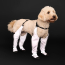 CPL Canada Pooch F&W Suspender Boots Reflective SZ 6 Long