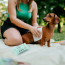 Tickless Citronella Scented Dog Wipes (20/Wipes)