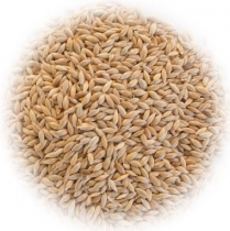 STS Canary Grass Seed 22kg/50lb