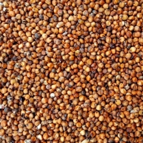 STS Red Milo 22.7kg/50lb