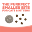 NS NutriSource CAT GF Ocean Select 12lb