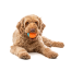 GURU Toy Crunch & Squeak Ball 2pk