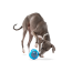 GURU Toy Ball Medium