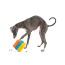 GURU Toy Dog-X Cube