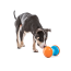 GURU Toy Bouncer Large