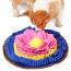 PAWZNDOGZ Snuffle Mat Divine Lotus