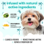 BUDDY CARE Shampoo Tropical 16.9 fl oz (6)