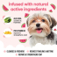 BUDDY CARE  Dog Shampoo Watermelon 16.9 fl oz