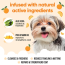 BUDDY CARE Shampoo Orange 16.9 fl oz (6)