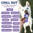 UTW PB & Chill Calming Peanut Butter Singles 1oz (250) EN/FR