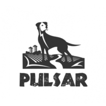 HORI SAMPLES Pulsar Whole Grain Pork 32/114g