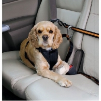 KUR Leash and Zipline Combo #00032 (6)