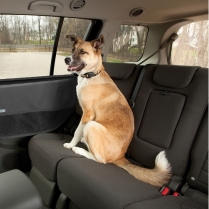 KUR Car Door Guard, Black #01158 (6)