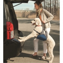 KUR Up and About Lifter #01181