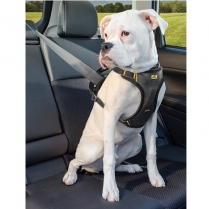 KUR Impact Seatbelt Harness - X-LG BLACK #01731 (12)*