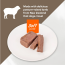 Forza10 ACTIVE CAN Dog Hypoallergenic Lamb 32 x 3.5oz