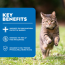 Forza10 ACTIVE CAN Cat Hypoallergenic Lamb 32 x 3.5oz