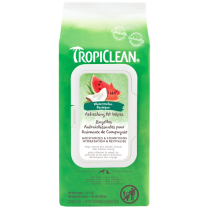TCL Watermelon 2-in-1 Wipes 100ct EN/FR (12) *
