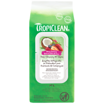 TCL Deep Cleaning Deodorizing Wipes 100ct EN/FR (12)*