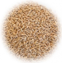 SEED TO SKY Canary Grass Seed