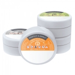 Perfect A Smile Pontic Paint  - Bleach (4 gram)