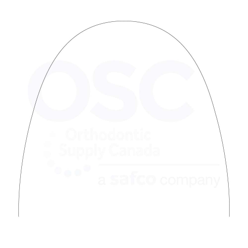 .017 x.025 Copper NT Optiform C2 (10/PK) - OSC