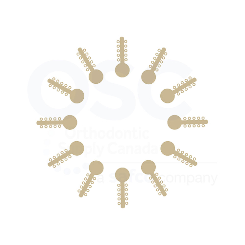 Ivory Ten Ties - OSC