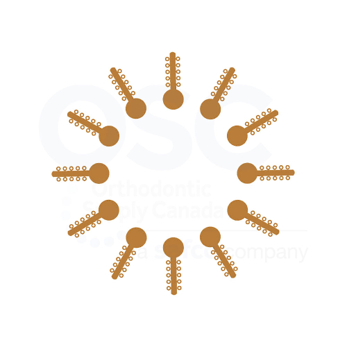 Gold Ten Ties - OSC