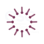 Magenta Ten Ties