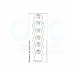 Template for BioLingual Arches