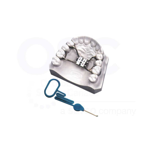 Expadent Rapida Screw 11mm (1/Each) - OSC