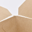 66oz kraft Togo Food Box