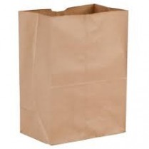 Kraft Bag 536 Nat Plain 10.4 x6.9 x14.4" 500/cs