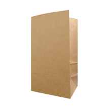 9x6x16" Kraft Paper Bag 100GSM 250/cs