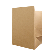 10x7x15" Kraft Paper Bag 120GSM 250/cs