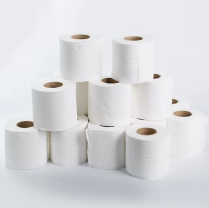 2ply Luxury House Toilet Tissue 500x48rolls/cs