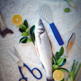 F.Dick ProDynamic Fish Scraper