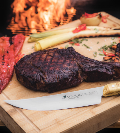 FDick VIVUM series BBQ knife