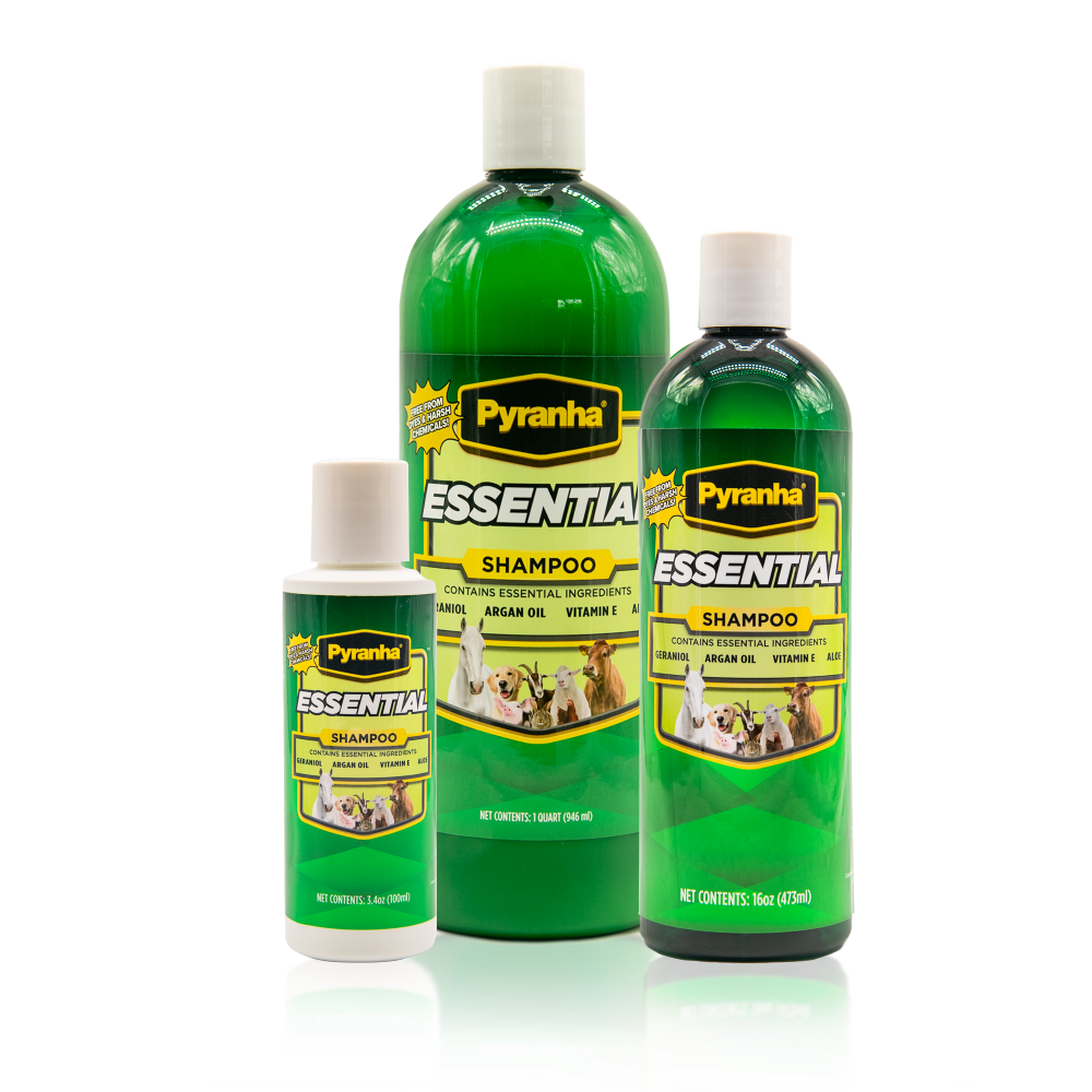 Essential Shampoo Full Group Reflection