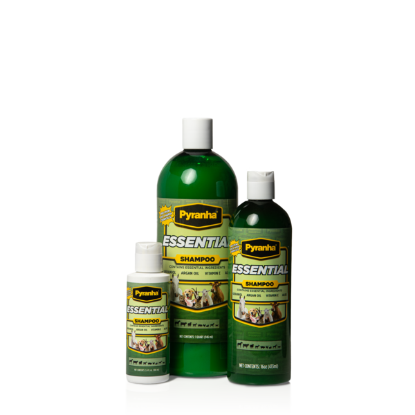 Essential Shampoo