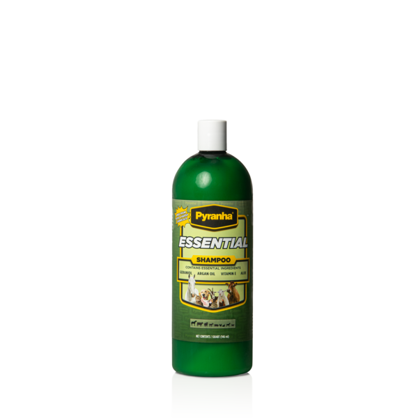 Essential Shampoo