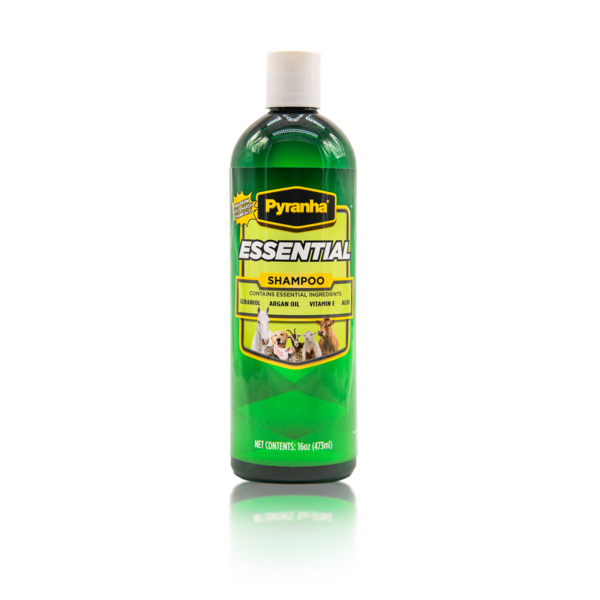 Aloe Pro No 3 4