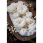 Flowers Dough Bowl Candle - White Oak & Vanilla 37512
