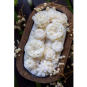 Flowers Dough Bowl Candle - White Oak & Vanilla 37512