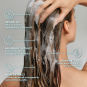 Moroccanoil Frizz Control Shampoo 33.8 oz MOR-CFCS34 97244