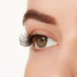 Ardell Wispies (Natural) - Demi Wispies Black #65012