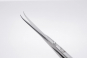 Staleks Cuticle Scissors Exclusive 21 Type1 Blade 21 mm #432