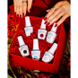 Gelish Floral Wonderland  Holiday 2025 6PC 1130109