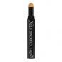 Gelish Chrome Stix 0.5 g/0.02 oz Gold Holographic 1168196